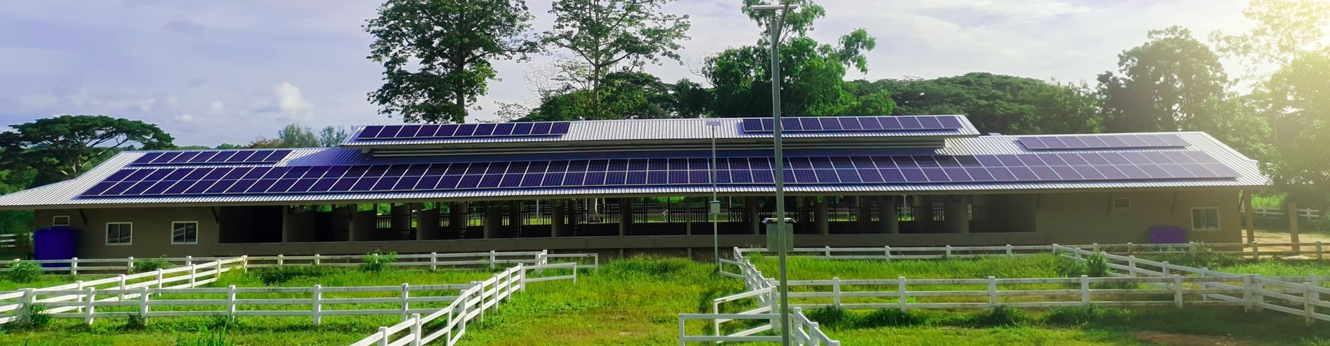 Harnessing the Sun: How Solar Farms are Powering Australia’s Future